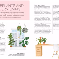 ISBN My House Plant Changed My Life book English Hardcover 144 pages