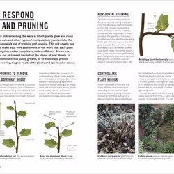ISBN Grow Pruning & Training book English Paperback 144 pages