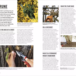 ISBN Grow Pruning & Training book English Paperback 144 pages