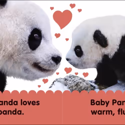 ISBN Baby Touch and Feel Panda book Children & teenagers English Hardcover 14 pages