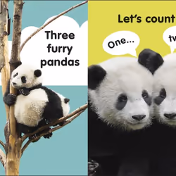 ISBN Baby Touch and Feel Panda book Children & teenagers English Hardcover 14 pages