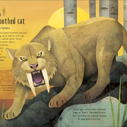 ISBN Animals Lost and Found book Children & teenagers English Hardcover 128 pages