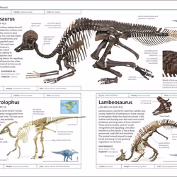 ISBN Dinosaurs book English Paperback 224 pages