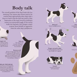 ISBN How Dogs Work book Children & teenagers English Hardcover 160 pages