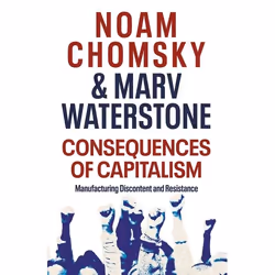 ISBN Consequences of Capitalism, English, Paperback, 416 pages