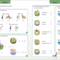 ISBN Italian for Everyone Junior: 5 Words a Day book Reference & languages English Paperback 240 pages - Additional view 5