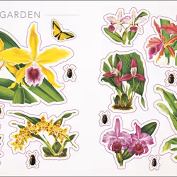 ISBN The Botanist's Sticker Anthology book English Hardcover 232 pages