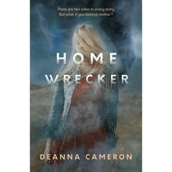 ISBN Homewrecker book English Paperback 384 pages