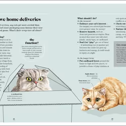 ISBN What's My Cat Thinking? book Children & teenagers English Hardcover 192 pages
