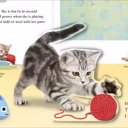 ISBN I Love My Kitten book Children & teenagers English Hardcover 12 pages