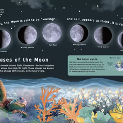 ISBN The Moon book Children & teenagers English Hardcover 80 pages