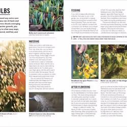 ISBN Grow Bulbs book English Paperback 144 pages