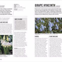 ISBN Grow Bulbs book English Paperback 144 pages