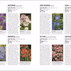 ISBN Grow Low Maintenance book House & garden English Paperback 144 pages