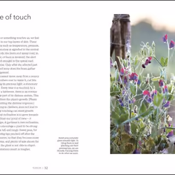 ISBN Garden for the Senses book House & garden English Hardcover 176 pages