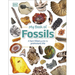 ISBN My of Fossils book Children & teenagers English Hardcover 96 pages