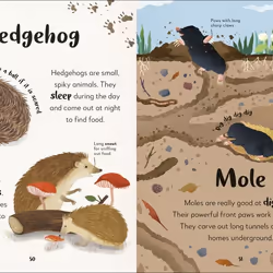 ISBN The Bedtime of Animals book Children & teenagers English Hardcover 144 pages