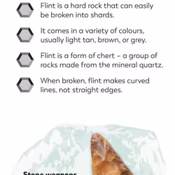 ISBN Rocks and Minerals Flash Cards book Children & teenagers English Paperback 54 pages