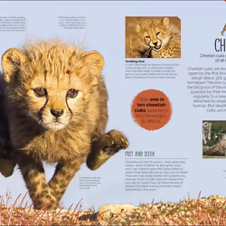 ISBN Born to be Wild book Children & teenagers English Hardcover 224 pages