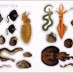 ISBN The Seashore Sticker Anthology book English Hardcover 232 pages