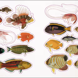ISBN The Seashore Sticker Anthology book English Hardcover 232 pages