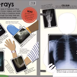 ISBN The Fact-Packed Activity : Human Body book Children & teenagers English Paperback 96 pages