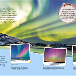 ISBN DKFindout! Arctic and Antarctic book Children & teenagers English Paperback 64 pages