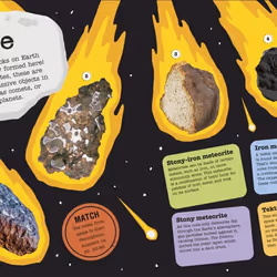 ISBN The Fact-Packed Activity : Rocks and Minerals book Children & teenagers English Paperback 96 pages