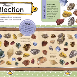 ISBN The Fact-Packed Activity : Rocks and Minerals book Children & teenagers English Paperback 96 pages