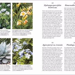 ISBN RHS A Plant for Every Day of the Year book English Hardcover 256 pages