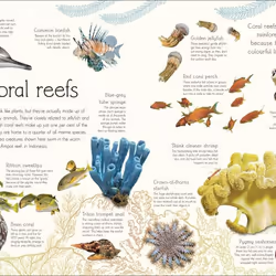ISBN An Anthology of Aquatic Life book Children & teenagers English Hardcover 224 pages