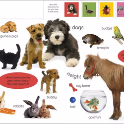 ISBN My First Animals: Let's Squeak and Squawk! book Children & teenagers English Hardcover 28 pages