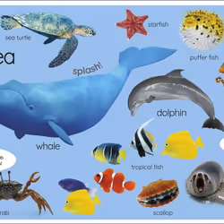 ISBN My First Animals: Let's Squeak and Squawk! book Children & teenagers English Hardcover 28 pages