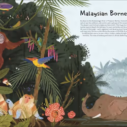 ISBN The World's Wildest Places book Children & teenagers English Hardcover 96 pages