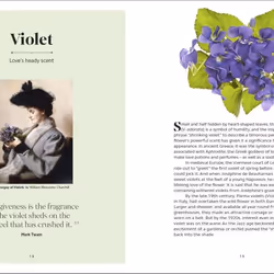 ISBN The Secret Language of Flowers book English Hardcover 192 pages