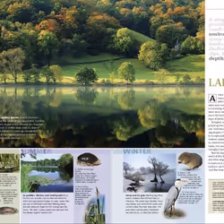 ISBN Wildlife of Britain and Ireland book English Hardcover 512 pages
