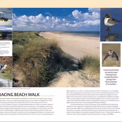 ISBN Where to Go Wild in the British Isles book English Hardcover 336 pages