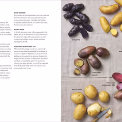 ISBN Potato Kitchen book English Hardcover 192 pages