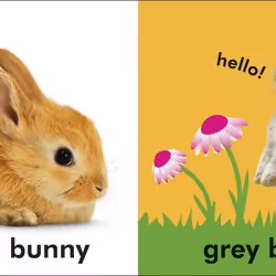 ISBN Baby Touch and Feel Bunny book Children & teenagers English Hardcover 14 pages