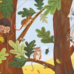 ISBN Pop-Up Peekaboo! Forest book Children & teenagers English Hardcover 12 pages