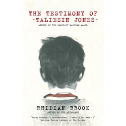 ISBN The Testimony of Taliesin Jones book General novel English Paperback 208 pages