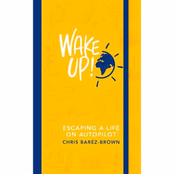 ISBN Wake Up!, English, Paperback, 304 pages