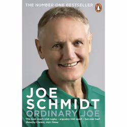 ISBN Ordinary Joe, English, Paperback, 352 pages