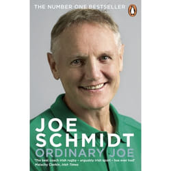 ISBN Ordinary Joe book English Paperback 352 pages