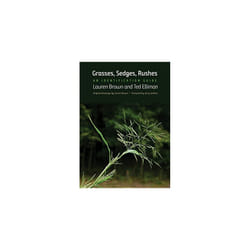 Grasses, Sedges, Rushes: An Identification Guide