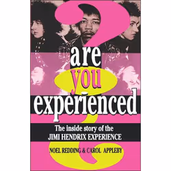ISBN Are You Experienced?, Educational, English, Paperback, 260 pages