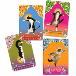 ISBN Cat Yoga Postcards, Rick Tillotson, Cards, Potter Style, 02/10/2007, Cards format, 1 pc(s)