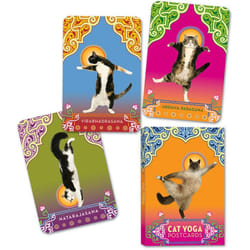 ISBN Cat Yoga Postcards