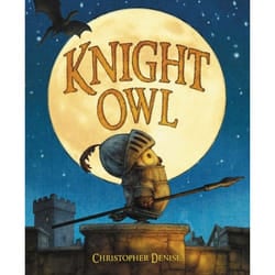 Hachette Book Group Knight Owl book Children's English Hardcover 48 pages