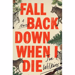 ISBN Fall Back Down When I Die, English, Hardcover, 256 pages